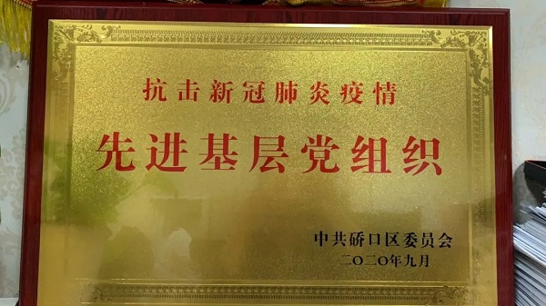 武漢仁愛醫院榮獲硚口區先進基層黨組織表彰